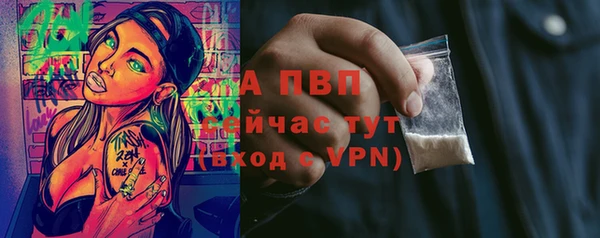 мдпв Осташков
